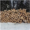 В Енисейском бизнесмен обманом вырубил лес на 14 млн рублей (видео)