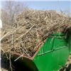 Жители частного сектора Красноярска забили мусорные контейнеры строительным хламом и сухостоем