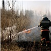 Владимир Путин поддержал идею создания в Красноярском крае северного Лесопожарного центра