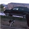 Красноярской медсестре из обсервации устроили долгожданную встречу с её собакой (видео)