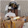 С начала жары в Красноярске коммунальщики не справляются с обилием мусора в центре города