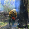 В Красноярском крае зафиксировали снижение числа лесных пожаров