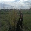 В санитарной зоне КрАЗа с начала года высадили 400 деревьев