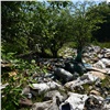 Больше 60 КамАЗов мусора вывезли с территории Ленинского района Красноярска