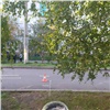 Еще один красноярский водитель уехал с места «неочевидного» ДТП с пешеходом. Теперь его ищет полиция