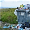 «Часть жителей принципиально не платит за вывоз мусора»: в Заксобрании обсудили проблемы утилизации ТКО