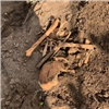 В Абакане и его окрестностях за день нашли два человеческих скелета