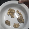 В Северо-Енисейском районе незаконно добыли и продали несколько десятков килограммов золота (видео)