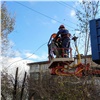 Энергетики ликвидируют в Красноярске последствия сильного ветра