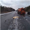 Под Красноярском двое взрослых и двое детей погибли при столкновении грузовика и легкового автомобиля (видео)