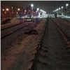 В Красноярском крае и Хакасии из-за снегопада и нарушения правил под поездами погибли трое мужчин