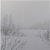 Синоптики: «В первые дни зимы Красноярск получит порцию тепла, а Таймыр — метель» 