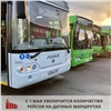 На дачных маршрутах в Красноярске увеличат количество рейсов и автобусов
