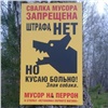 Красноярские железнодорожники разыскивают авторов «вредных» плакатов, призывающих мусорить на перроне 