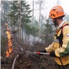 В Красноярском крае увеличили количество видеокамер для мониторинга лесных пожаров