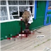 Житель Красноярского края застрелил забравшегося на кухню медведя