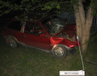 В селе Ермаковском автомобилист врезался в дерево и погиб