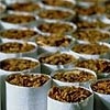 Международную табачную компанию подозревают в нарушении законов на территории Красноярского края