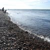 Спор о безопасности пляжей Красноярского края продолжается