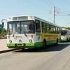 Скандал с перевозкой льготников в красноярских автобусах разрешится через неделю