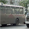 Красноярцы отстояли несколько автобусных маршрутов