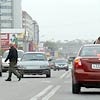 Красноярские власти не могут найти ответственного за улицу Молокова