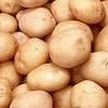 Красноярские банкиры взялись за торговлю картошкой
