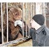 Персонал зоопарка в Сосновоборске будет депортирован