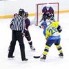 Красноярские хоккеисты потерпели поражения в первом туре первенства России		