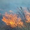 Весь пожарный гарнизон Красноярска за день 92 раза выезжал тушить траву
