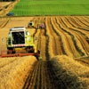 Депутаты просят минсельхоз края принять экстраординарные меры для спасения урожая
