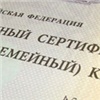 Красноярские семьи получат право на региональный материнский капитал 