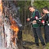 МЧС призвало бога на помощь в борьбе с горящими лесами Красноярского края