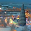 В Красноярске начали разбирать главную городскую ёлку
