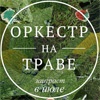 В Красноярске начался прием заявок на участие в фестивале «Оркестр на траве»
