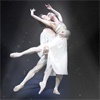 В Красноярске пройдет единственное выступление «Виртуозов мирового балета» 