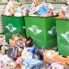 Дворы Красноярска пообещали освобождать от мусора уже с 1 января