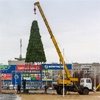В Красноярске собирают районные новогодние елки
