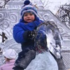 Сегодня в Красноярске откроется первая районная новогодняя елка