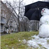 Прошедшая зима стала самой теплой в истории России за всю историю наблюдений