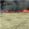 На 26 Бакинских Комиссаров в Красноярске горела трава и мусор