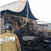 Коровы и пони погибли при пожаре на правобережье Красноярска