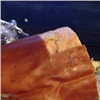 В колбасе из красноярского магазина нашли личинку