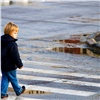 В Красноярске сбежавшего из детсада ребенка нашли гулявшим по проезжей части