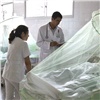 Красноярская туристка в Таиланде заболела лихорадкой денге