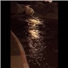 Улицу Ладо Кецхвели затопило из-за коммунальной аварии (видео)