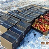 В Красноярске уничтожили более 700 кг польских яблок