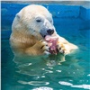 Красноярские белые медведи искупались с едой: сезон водных процедур открыт
