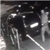 Насильник напал на девушку во дворе жилого дома (видео)