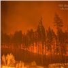 Гарь и дым: под Железногорском выгорел лес